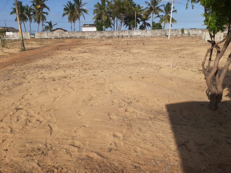 101326995_2581513712177010_1256281554737430528_n