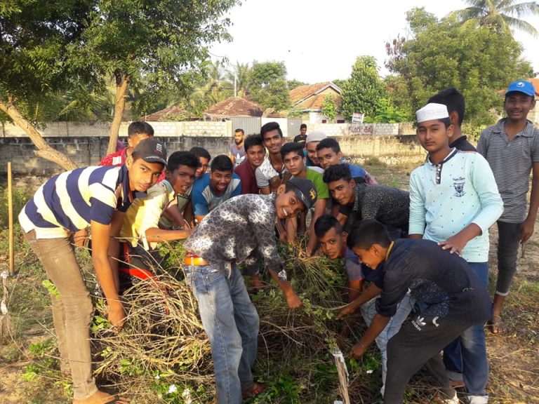 52308597_2205603796434672_7685710329694650368_n