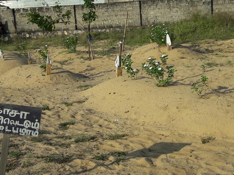 52386915_2205604096434642_9097140843491360768_n